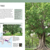 A large Bodhi tree with a thick trunk and spreading branches stands in a grassy park—a striking specimen featured in Trees of the World by Schiffer Publishing, Ltd.