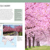 A vibrant park scene with blooming Japanese cherry trees, as seen in "Trees of the World" by Schiffer Publishing, Ltd., shows people strolling under pink blossoms and green grass contrasting the colorful canopy.