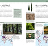 A spread from Trees of the World by Schiffer Publishing, Ltd. showcases sweet chestnut and Mediterranean cypress with photos of trees, leaves, bark, nuts, habitat maps, a species guide, and interesting facts about these global trees.