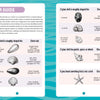 Seashells of Delmarva by Schiffer Publishing, Ltd. is a beachcombing guide with black-and-white shell, anemone, and starfish illustrations plus guiding text on a blue wavy background—ideal for discovering Maryland and Virginia shells.