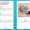Seashells of Delmarva by Schiffer Publishing, Ltd. is an informational page with a photo of a gray spiral knobbed whelk shell and fragment on sand, plus sections on description, habitat, eating, and fun facts—a handy Delmarva seashell ID guide.