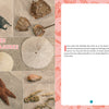 A collage of Delmarva beach treasures—horseshoe crab shells, sea stars, and sand dollars—appears beside a text page with a pink seashell border in "Seashells of Delmarva" by Schiffer Publishing, Ltd.