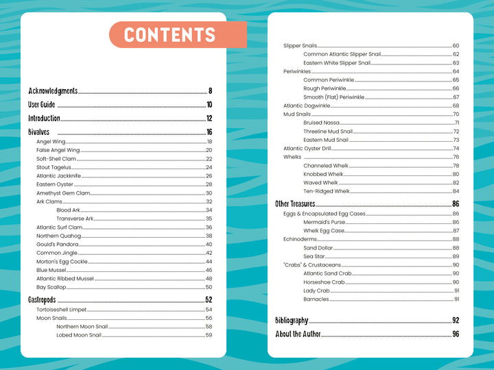Table of contents for "Seashells of Cape Cod and the Islands" by Schiffer Publishing, Ltd.—explore Bivalves, Gastropods, Monoplacophs, and Cephalopods plus local beachcombing treasures on a blue wavy background with page numbers.