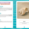 A tan and white ten-ridged whelk shell rests on sand, as featured in "Seashells of Cape Cod and the Islands" by Schiffer Publishing, Ltd., alongside notes on its habitat, diet, and its role as Massachusetts' official state shell.