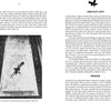 Savannah's Afterlife III by Schiffer Publishing, Ltd. features a photo of a weathered gravestone for John Emerson Roberts and Annie Agnes Sise, their names and dates engraved, with a small plaque at its base—echoing Savannah's haunted history.