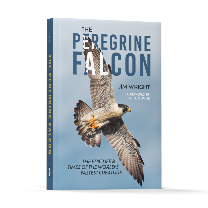 Book cover for The Peregrine Falcon by Schiffer Publishing, Ltd. shows a striking raptor in flight against a blue sky, with the subtitle: The Epic Life & Times of the World's Fastest Creature.
