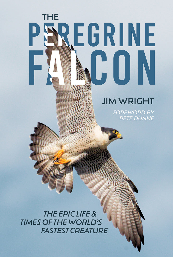 The Peregrine Falcon : The Epic Life and Times of the World’s Fastest Creature