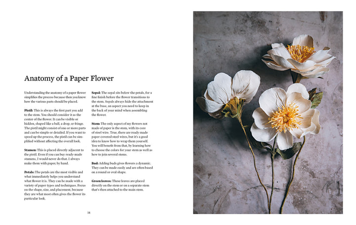 An open book, "Paper Flower Magic" by Schiffer Publishing, Ltd., displays instructions titled "Anatomy of a Paper Flower" on the left and a photo of three lifelike white and yellow crepe-paper flowers on a textured gray surface on the right.