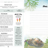 A menu for Cape Cod Cones featuring local ice cream origins, flavors, and details. At right is a Field Notes lined section with seaweed accents and two illustrated seashells. Published by Schiffer Publishing, Ltd.