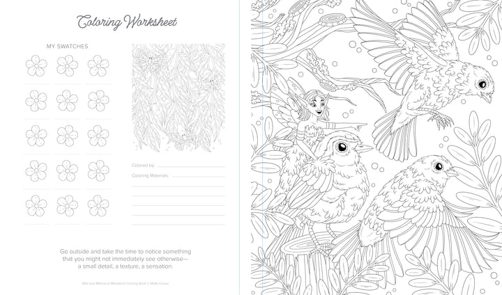 The Wild & Whimsical Woodland Coloring Book by Schiffer Publishing, Ltd. features pages with color swatch areas on the left and detailed nature scenes—birds, a butterfly, a fairy, woodland creatures, and lush foliage—outlined for coloring.