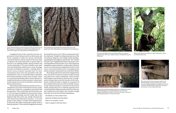 A magazine spread for Schiffer Publishing, Ltd.’s "The Historic Dutch American Barns of New Jersey and Southern New York" features forest scenes, detailed wood textures, twisted branches, and beams in barns, highlighting elements of vernacular architecture.
