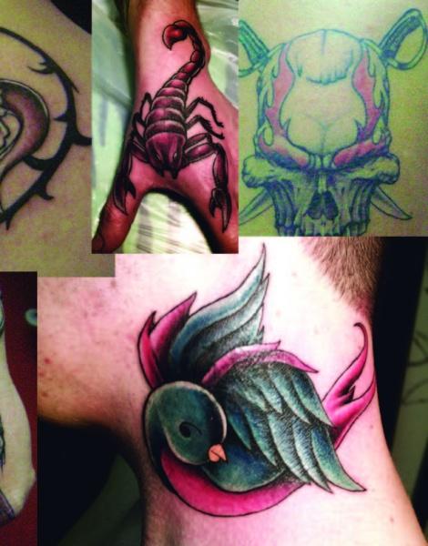 Showcasing Street Shop Tattoo Stencils by Schiffer Publishing, Ltd.: a collage featuring a scorpion, flaming skull, stylized blue and pink bird, plus two abstract black ink designs.