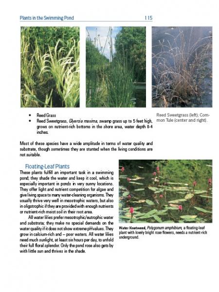 A page from Schiffer Publishing, Ltd.'s "Garden Pools and Swimming Ponds" shows three aquatic plants—reed grass, reed sweetgrass, and water knotweed—with photos and habitat details, highlighting their role in garden pools and swimming pond ecosystems.