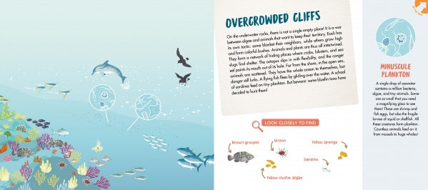 Explore the wonders of the ocean with The Sea by Schiffer Publishing, Ltd.—an illustrated scene reveals coral reefs, fish, dolphins, and birds, with text on Overcrowded Cliffs and Minuscule Plankton, labeled fish, and a fun search-and-find activity.