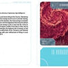 Two First Light Tarot informational cards from Schiffer Publishing, Ltd. display cosmic images, concept titles, descriptions, and a blue section with an energy number and keywords—ideal for any Tarot guidebook or 66-card Tarot set.