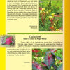 A page from "Savannah's Garden Plants" by Schiffer Publishing, Ltd. showcases Savannah flowers, including Caesalpinia Mexicana with yellow blooms and Caladium with heart-shaped, colorful leaves, detailed against a green and yellow background.