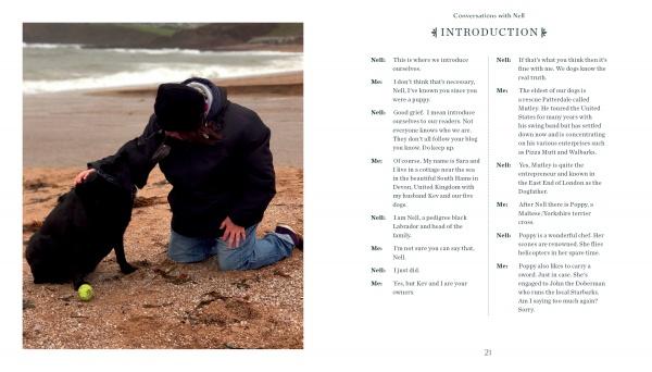 On a Devon beach, someone kneels by black Labrador Nell and a tennis ball, with waves and cliffs behind. The right side features "Conversations with Nell," a Schiffer Publishing, Ltd. dog adventure book with an interview-style intro.