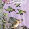A collage-style illustration from "Song for Papa Crow" by Schiffer Publishing, Ltd. shows three hummingbirds flying above a singing bird on the ground, with pastel purple sky and branches—perfect for early readers ages 5-8.