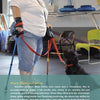 A woman with two canes holds a leash for her attentive black poodle-mix service dog, who sits and looks up at her—one of many inspiring stories in "Ambassador Dogs" from Schiffer Publishing, Ltd.