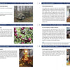 A guidebook page from "365 Things to Do in Ithaca, New York" by Schiffer Publishing, Ltd. features six boxes, each with photos and info on top local attractions—perfect highlights for any Finger Lakes or Ithaca travel guide.