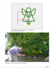 A man trims a large bush into an angel shape, demonstrating topiary art. Featured is "Basic Topiary" from Schiffer Publishing, Ltd.