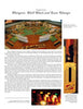 A page from Schiffer Publishing’s "The Complete Pinball Book" features a vintage pinball machine's playfield and a close-up of a Gottlieb plunger, alongside text about plungers, skill shots, lane changes, and pinball history.