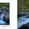 Three photos from "Greater Portland, Oregon" by Schiffer Publishing, Ltd.: a hiker in mossy Columbia River Gorge cliffs, a close-up of a rushing waterfall, and a forested river winding among moss-covered rocks and trees.