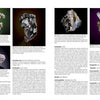 A page from "Minerals of the Grenville Province" by Schiffer Publishing, Ltd., featuring mineral specimens inspired by collections at the Canadian Museum of Nature.
