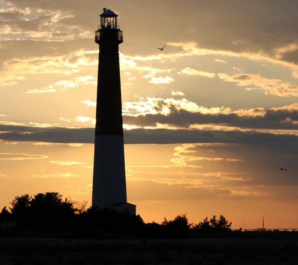 Barnegat Lighthouse Perspectives by Schiffer Publishing, Ltd. captures Barnegat Lighthouse rising against a golden sunset at Long Beach Island, with birds in flight and trees framing the Atlantic Coast in the background.