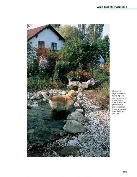 A dog stands in a stream, surrounded by beautiful landscape design and tranquil water features from "Water Gardens and Natural Pools" by Schiffer Publishing, Ltd.