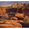 In the Chasms of Water, Stone, and Light by Schiffer Publishing, Ltd. captures red sandstone boulders and dramatic mesas in warm sunlight—ideal inspiration for canyon explorers near the Grand Canyon, with desert grasses throughout.