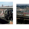 Two subway trains covered in vibrant NYC graffiti travel on elevated tracks through a cityscape. Split into two panels, the image reveals snapshots of NYC graffiti history from Born to Run by Schiffer Publishing, Ltd.