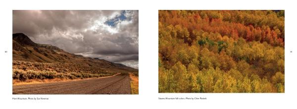 Experience the striking beauty of Eastern Oregon with Schiffer Publishing, Ltd.—winding dirt roads, rolling hills beneath cloudy skies, and vibrant autumn forests evoke the region’s breathtaking wildlife and Painted Hills scenery.