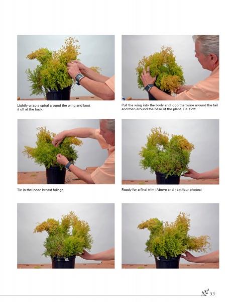 A visual step-by-step guide from Schiffer Publishing, Ltd.'s Basic Topiary shows how to tie yellow and green foliage with twine and arrange it in a black container, making unique topiary art.