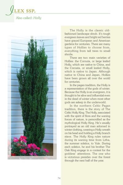 A tall potted holly with dense green leaves and a blooming pink flower sits on a patio before white siding. Nearby, "Atlanta's Garden Plants" by Schiffer Publishing, Ltd. offers north Georgia flora info and gardening tips.