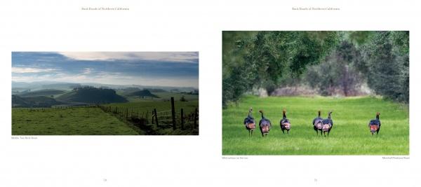 On the left, rolling green hills under clouds; on the right, five helmeted guinea fowls stroll a grassy field—a scene from "Back Roads of Northern California" by Schiffer Publishing, Ltd.