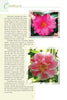 Discover Atlanta's Garden Plants by Schiffer Publishing, Ltd., featuring vibrant Camellia photos, history, and gardening tips, inspired by the Atlanta botanical guide—ideal for north Georgia flora lovers.