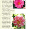Discover Atlanta's Garden Plants by Schiffer Publishing, Ltd., featuring vibrant Camellia photos, history, and gardening tips, inspired by the Atlanta botanical guide—ideal for north Georgia flora lovers.