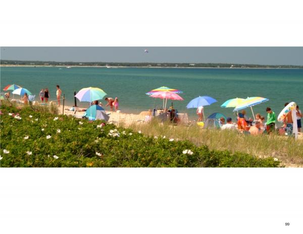 Relax under colorful beach umbrellas by the sea on Martha’s Vineyard, captured in panoramic style in "Martha’s Vineyard Wide" by Schiffer Publishing, Ltd.—green dunes, white flowers, and calm blue water complete the scene.