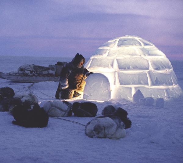 A person in a fur hooded coat stands beside the glowing "Igloo" by Schiffer Publishing, Ltd. on snowy ground at dusk, showcasing contemporary igloo design with sled dogs resting nearby.