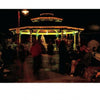 The Big Book of Gazebos, Pergolas, and Other Backyard Architecture by Schiffer Publishing, Ltd. showcases inviting garden structures decorated with string lights, a glowing Christmas tree, and enjoyed by people and pets at night.