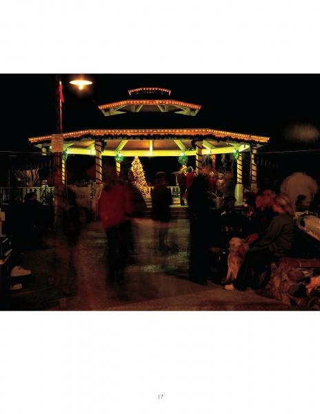 The Big Book of Gazebos, Pergolas, and Other Backyard Architecture by Schiffer Publishing, Ltd. showcases inviting garden structures decorated with string lights, a glowing Christmas tree, and enjoyed by people and pets at night.