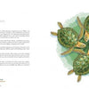 A spread from *Nature Mandalas Wonders of the Earth, Wind, and Sea* by Schiffer Publishing, Ltd. shows text about sea turtles on the left and five green sea turtles forming a mandala on a light blue-green background on the right.