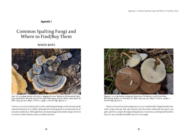 Left: Close-up of turkey tail fungi with wavy, banded caps on spalting wood. Right: Three round, brown polypore fungi on mossy ground. Photo from "Spalting 101" by Schiffer Publishing, Ltd.