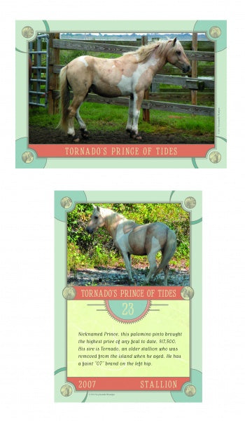 Chincoteague Pony Identification Cards from Schiffer Publishing, Ltd. feature Tornado’s Prince of Tides, a 23-year-old palomino Chincoteague Pony, with his name, pedigree info, and value—ideal for pony fans and collectors.