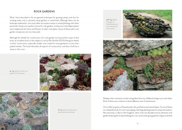 A book spread from Schiffer Publishing, Ltd. features Sempervivum succulents among rocks, with photos and captions that explain plant arrangements and design concepts for rock gardening.