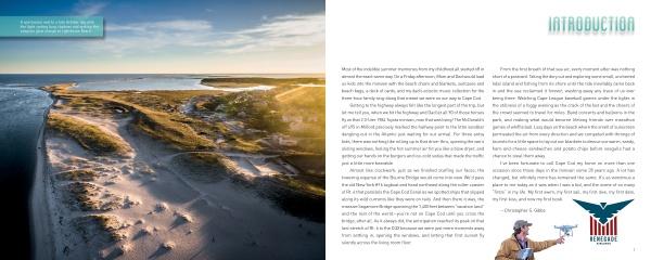 Aerial view from Art from above Cape Cod by Schiffer Publishing, Ltd., shows sandy dunes and water left; right side displays INTRODUCTION text, a drone photographer illustration, and a stylized eagle logo at the bottom.