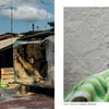 Left: Two Cuban street cats lounge on a sunlit rooftop amid plants and rustic buildings. Right: A kitten is bottle-fed—captured brilliantly in The Cats of Cuba by Schiffer Publishing, Ltd., perfect for cat photography lovers.