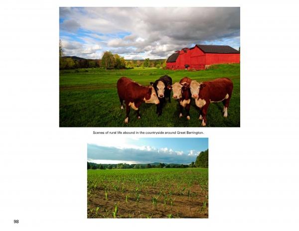 Top: Four brown and white cows on green grass near a red barn evoke Americana. Bottom: Young green crops grow in a scenic field. Both images are featured in "Along Route 7" by Schiffer Publishing, Ltd.
