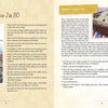 A spread from "Meet Me in My Cape Cod Kitchen" by Schiffer Publishing, Ltd. shows a red kayak on a beach at sunset, highlights Summer Berry Pie and baked goods, and features seaside recipes plus "When I’m 80" reflections on the left page.